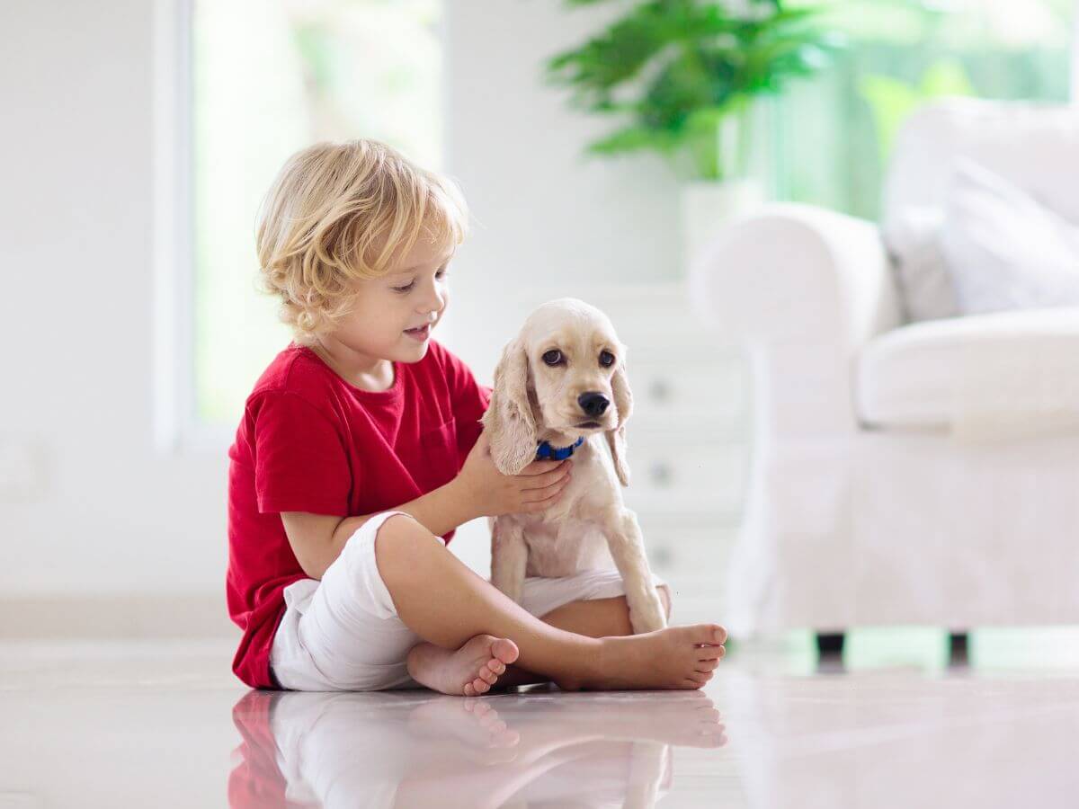 Pet and Child Safe Window Treatments